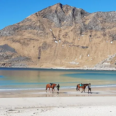 Knut Ellingsen Dom wakacyjny
