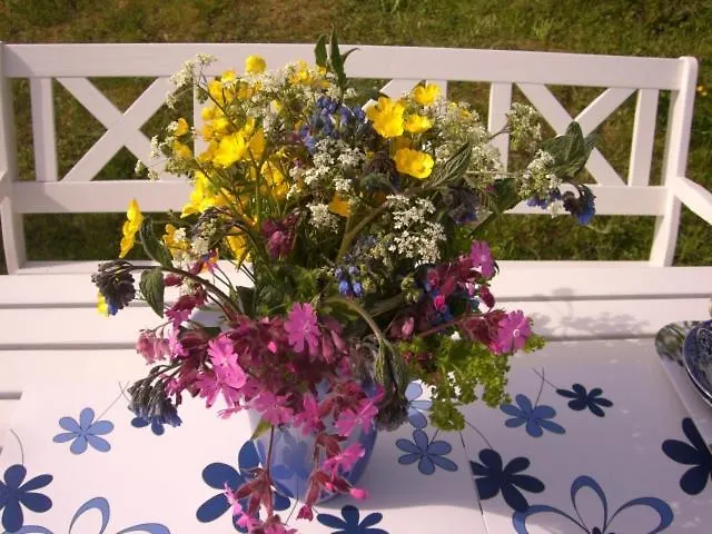 Knut Ellingsen Casa de Férias *