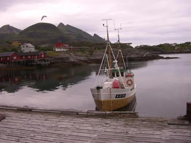 Knut Ellingsen Reine