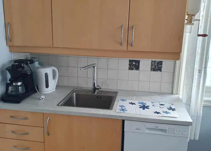 Knut Ellingsen Reine