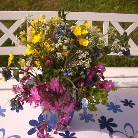 Knut Ellingsen Ferienhaus *